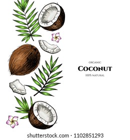 Vector frame with coconuts and tropical leaves .Hand drawn. Vintage style