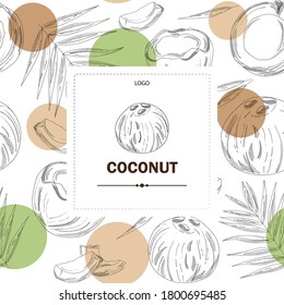 
Vector frame with coconuts and tropical leaves. Vector coconut hand drawn sketch with palm leaf.