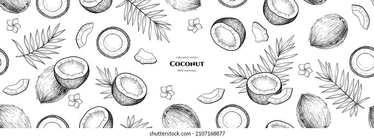 Marco vectorial con cocos y hojas tropicales. Patrón veloz. Ilustraciones dibujadas a mano.