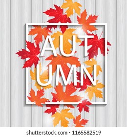 vector frame with colored autumn leaves on board background