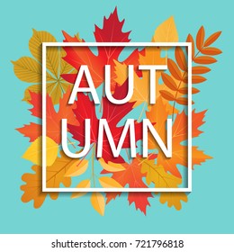 vector frame with colored autumn leaves