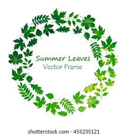 vector frame with colored summer leaves in grunge style