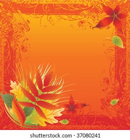 Vector frame with colorful Autumn Leafs. Thanksgiving (From my "Floral collection")