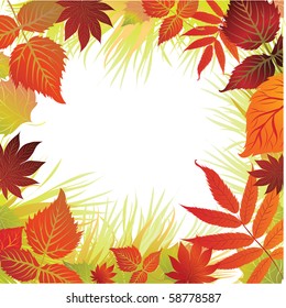 Vector frame with from colorful autumn leafs. Thanksgiving (from my big "Natural collection")