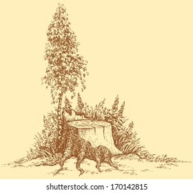 Vector frame in a corner of the landscape. Young birch overgrown with weeds near the old stump