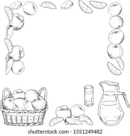 Vector frame with delicious apples fruit, slices, pitcher, basket.  Hand drawn vintage sketch, border, background, banner.  Card illustration for packaging design food, juice, jam, ice cream,smoothies