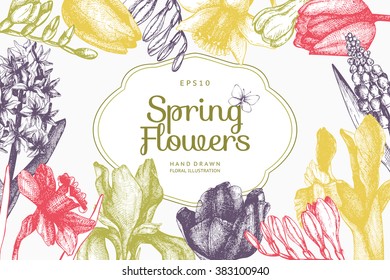 Vector frame design with hand drawn spring flowers sketch in pastel colors. Decorative background with vintage tulips, daffodil, hyacinth, freesia,muscari for greeting card or invitation.