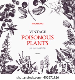 Vector frame design with hand drawn poisonous plants. Botanical illustration. Vintage noxious plants sketch background. Dangerous flowers retro template isolated on white.