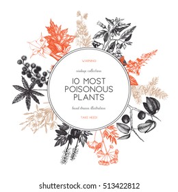 Vector frame design with hand drawn poisonous plants illustration. Vintage noxious plants sketch background. Botanical template with poisonous flowers isolated on white.