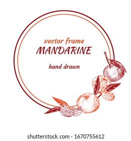 Vector frame design with tangerines. Border shape is round. Hand-drawn sketches. Engraving style. 
