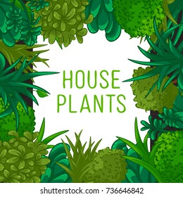 Vector frame of different green house plants. Illustration
