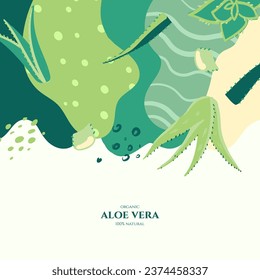 Marco vectorial con aloe doodle y elementos abstractos. Ilustraciones dibujadas a mano.