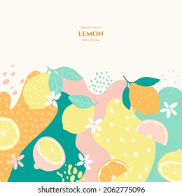 Vector frame with doodle lemon and abstract elements. Hand drawn illustrations.