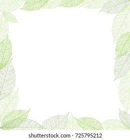 Vector frame with dry autumn leaves in green colors
