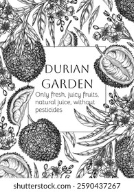 Vector frame with durian fruit tree and slice, piece, half of fruit in engraving style. Grocery store brochure. Fresh farm fruits. Organic farming. Nutrition banner, healthy eating