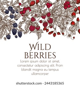 Vector frame of edible forest berries. Rose hips, raspberries, blackberries, strawberries, lingonberries