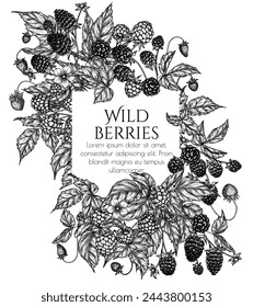 Vector frame of edible forest berries. Raspberries, blackberries, strawberries in engraving style