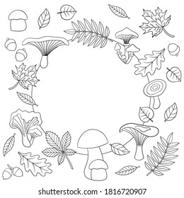 Vector frame with edible mushrooms and autumn leaves, coloring page for children and adults