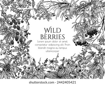 Vector frame of edible and poisonous wild berries. Cowberry, sea buckthorn, rose hips, ligustrum, hawthorn, elderberry, paris quadrifolia, blackberry, euonymus, belladonna, strawberry