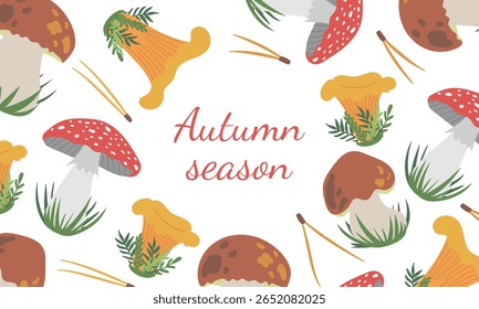 Moldura vetorial com cogumelos comestíveis porcini, boletus edulis, chanterelle e cogumelos venenosos da mosca vermelha agárica amanita isolados sobre fundo branco. Ilustração plana desenhada à mão, design outono outono outono