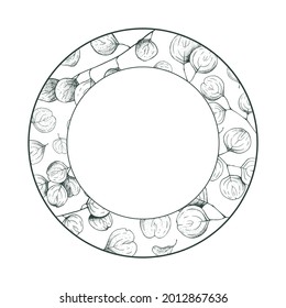 Vector frame with Eucalyptus leaves for presentations, decoration, invitations