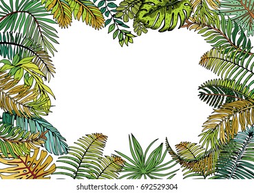 Vector Frame with Exotic Palm Leaves. Hand Drawn Recipe or Menu Background.