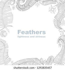 Vector frame of feathers and stars