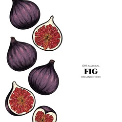 Vector Frame With Figs. Hand Drawn. Vintage Style
