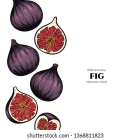 Vector frame with figs. Hand drawn. Vintage style