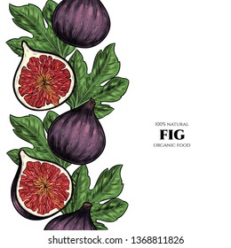 Vector frame with figs. Hand drawn. Vintage style