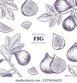 Vector frame with figs. Hand drawn. Vintage style