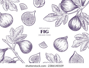 Vector frame with figs. Hand drawn. Vintage style