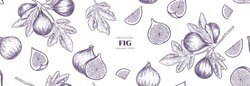 Vector Frame With Figs And Tropical Leaves. Vector Seamless Pattern. Hand Drawn Illustrations.