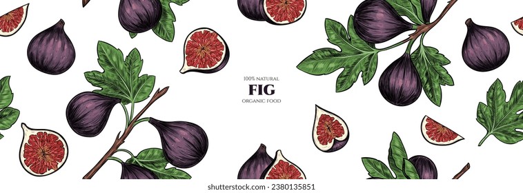 Vector frame with figs and tropical leaves. Vector seamless pattern. Hand drawn illustrations.