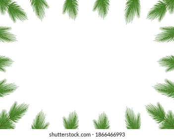 Vector frame of fir branches on a white background