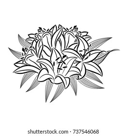 vector, frame with flowers
