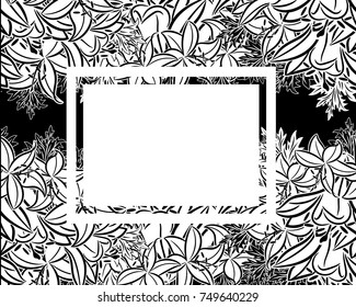 vector frame with flowers on black background