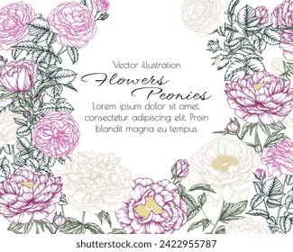 Vector frame of flowers. Pink and white roses and peonies in engraving style