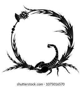 vector frame with flowers of thistle  and scorpion in blaack and white