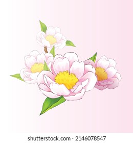 Vector frame of flowers. Vintage floral elements Isolated botanical illustration for a postcard.