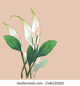 Vector frame of flowers. Vintage floral elements Isolated botanical illustration for a postcard.