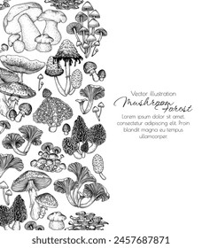 Vector frame of forest mushrooms in engraving style. Fly agaric, porcini mushroom, chanterelles, honey mushrooms, morel, bamboo, common bonnet , Coprinus comatus, oyster mushrooms