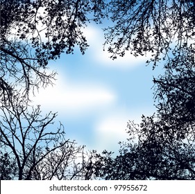 Vector frame in the form of the lumen of interwoven branches of trees against the blue sky with white clouds