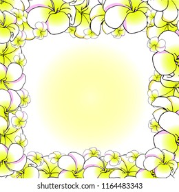 Vector frame with franzhipani