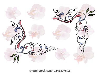 Vector frame with gentle orchids and ornament decoration.