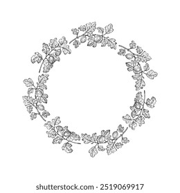 Vector frame with Gooseberry for text. Hand drawn engraved ink background with berry harvest, branches and fruits of sweet gooseberries. Design for label, paper, card, wrapping, logo