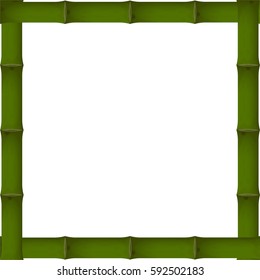 vector frame of green bamboo on a transparent background. mock up for the design.