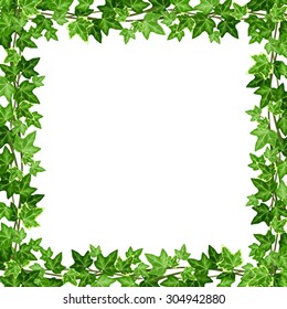 Vector frame with green ivy leaves on a white background.