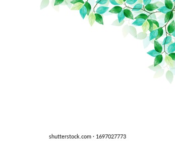 Vector Frame of green leaves background / white background