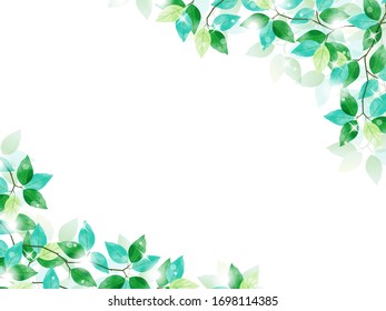 Vector Frame of green leaves background / white background